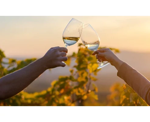 7 tételes prémium borkóstoló a Tokaji borvidéken, 2 fő részére