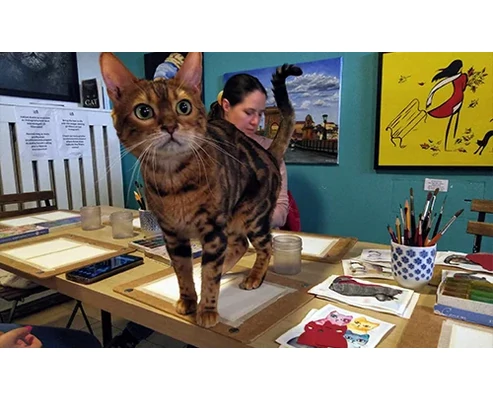 Páros akvarell élményfestés cicákkal a Cat Museumban