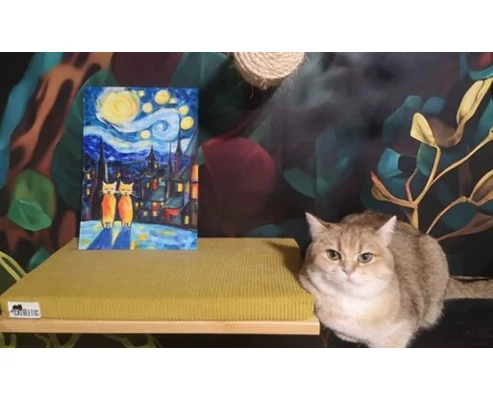 Akril élményfestés cicákkal a Cat Museumban