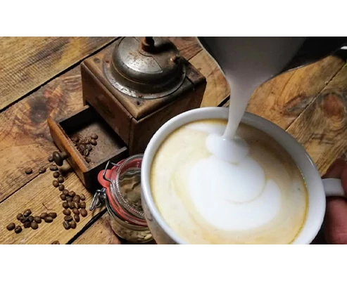 Barista workshop by Ursa Maior