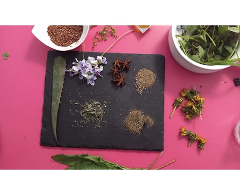 Főzz a gyógynövények erejével - vega workshop by Ursa Maior