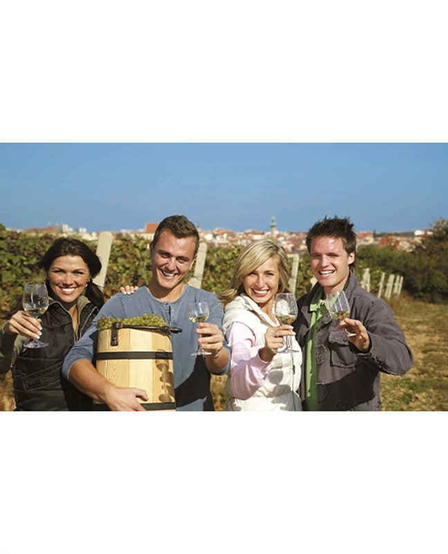 Winecaching túra a Mátrában