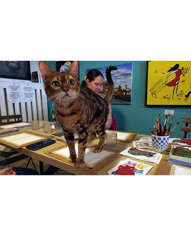 Páros akvarell élményfestés cicákkal a Cat Museumban