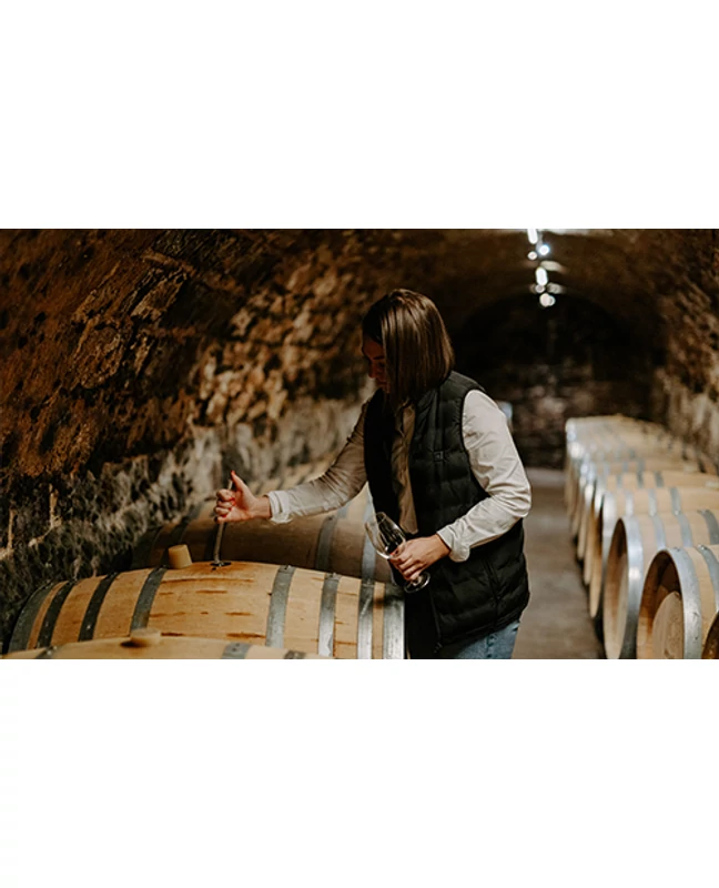  HOLDVÖLGY pincelátogatás és borkóstoló 6 tokaji borral