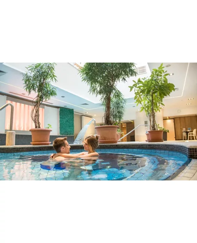 2 nap 1 éjszaka wellnessel és félpanzióval a Hotel Palace****-ban