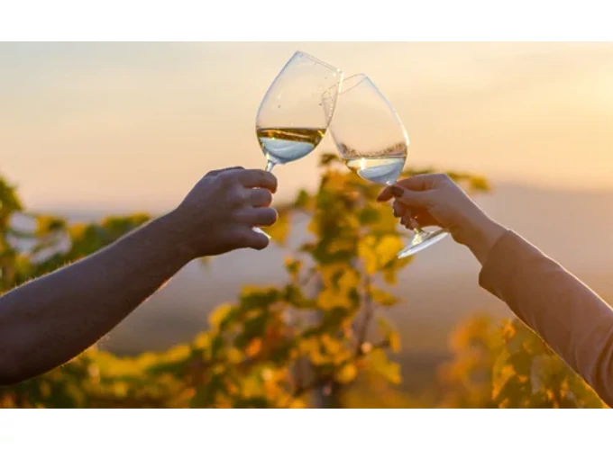 7 tételes prémium borkóstoló a Tokaji borvidéken, 2 fő részére