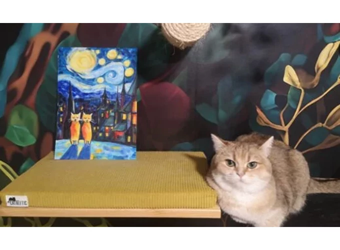 Akril élményfestés cicákkal a Cat Museumban