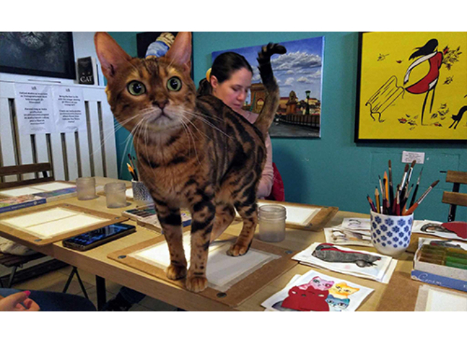 Akvarell élményfestés cicákkal a Cat Museumban