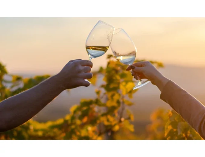 7 tételes prémium borkóstoló a Tokaji borvidéken, 2 fő részére