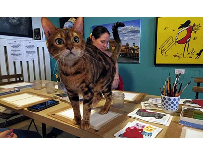 Páros akvarell élményfestés cicákkal a Cat Museumban