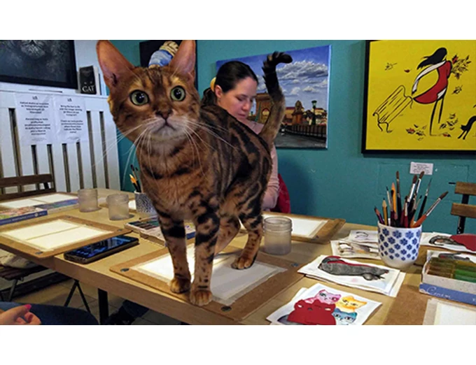Akvarell élményfestés cicákkal a Cat Museumban